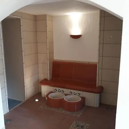 Tannenhof Schwarzw. Hotel 3*